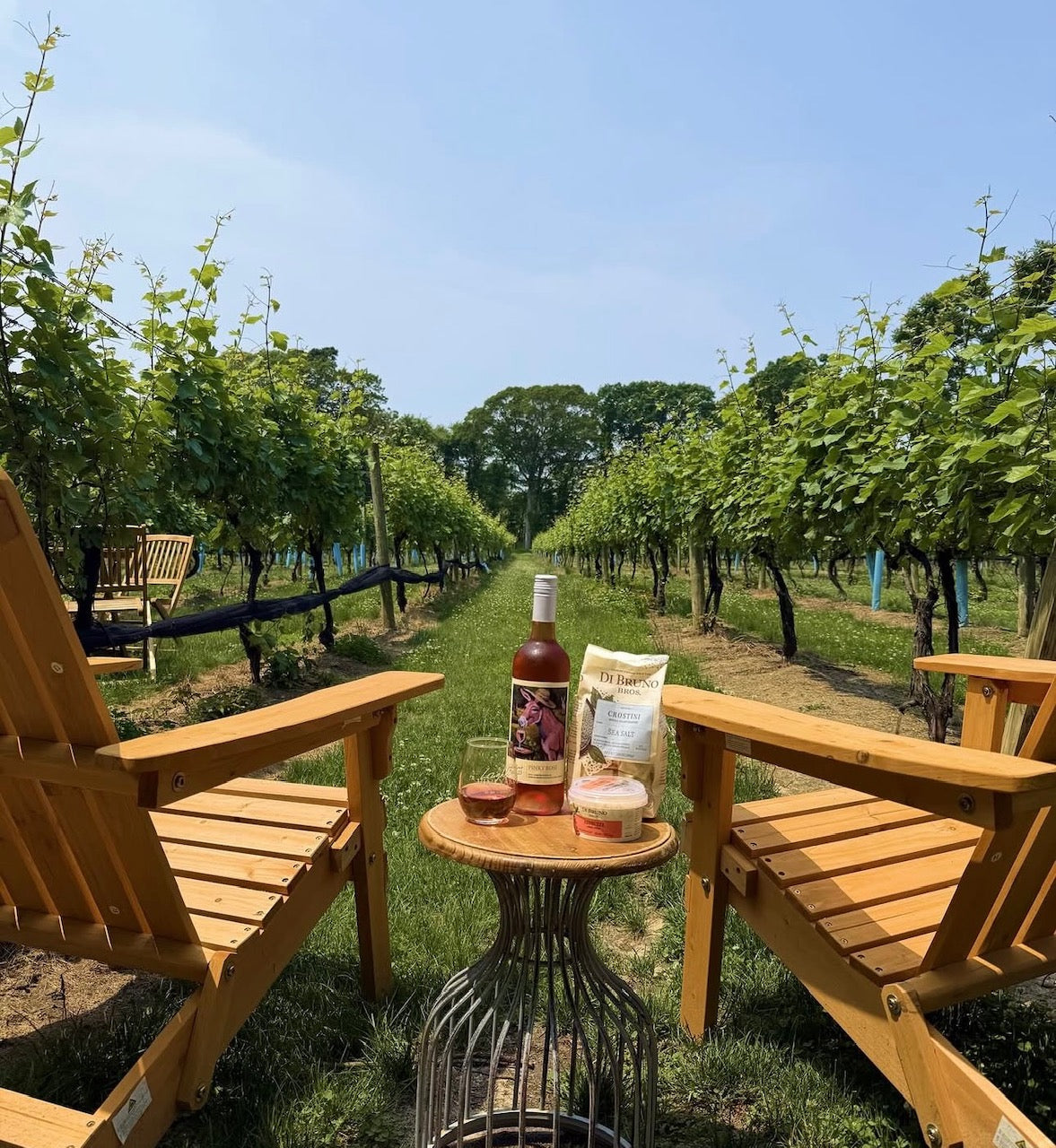 July 16, Loughlin Vineyard | Paint and Sip Ticket